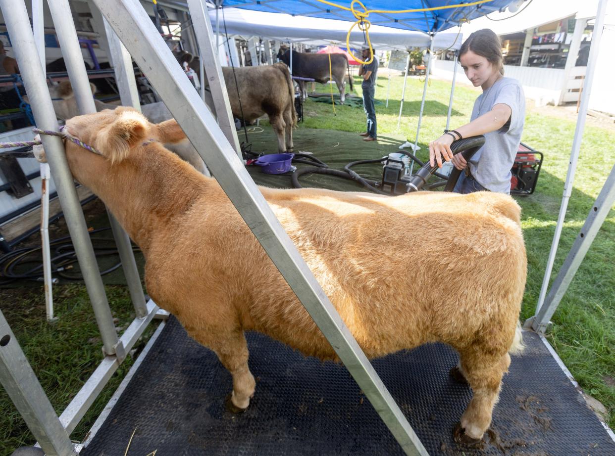 Payton Walker, 17, of Paris Township, dries off her beef feeder during the 2023 Stark County Fair. Overall, the fair helped to generate about 283,000 pounds of edible beef this year.