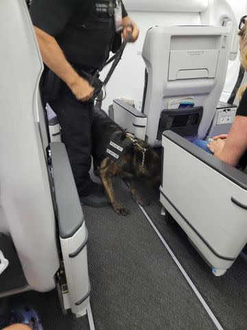 <p>TJ Monjay</p> Police with a dog on the plane