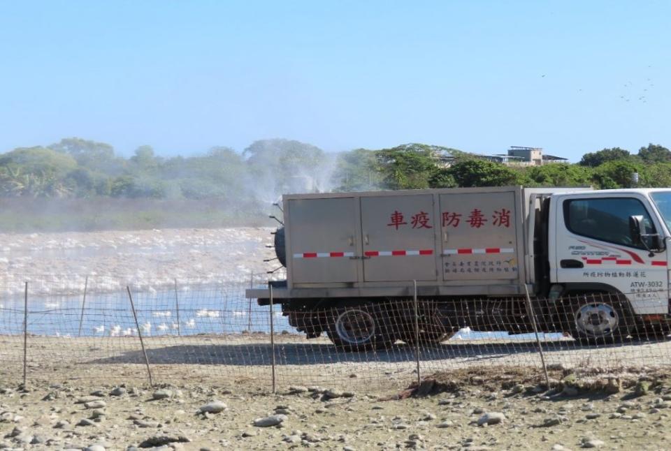 花蓮縣動物消毒防疫車養禽場周邊公共區域消毒。(花蓮縣政府提供)