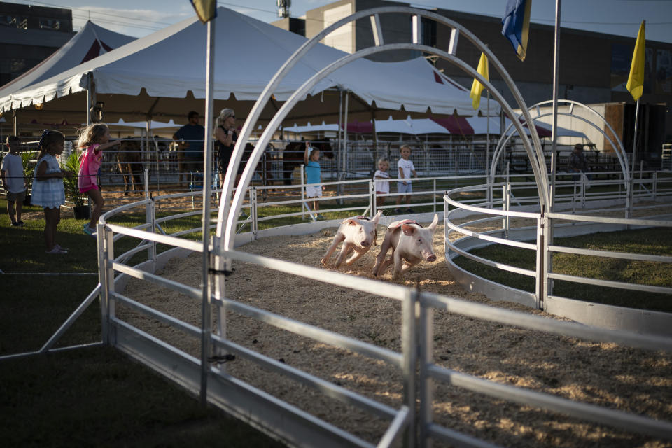 Children watch a pig race at the Mississippi State Fair, Wednesday, Oct. 7, 2020, in Jackson, Miss. At the fair, which is held every year in October and attracts people from across the racial spectrum, the vast majority of Black people are wearing masks. Most white people do not. (AP Photo/Wong Maye-E)