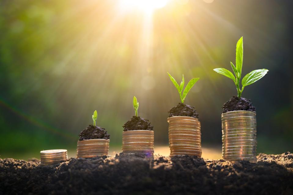 A plant grows from stacks of coins.