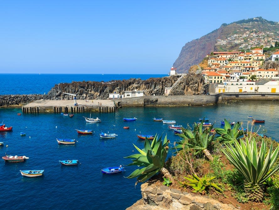 Colorful fishing boats on sea water in Camara de Lobos port with agave plants in foreground, Madeira island