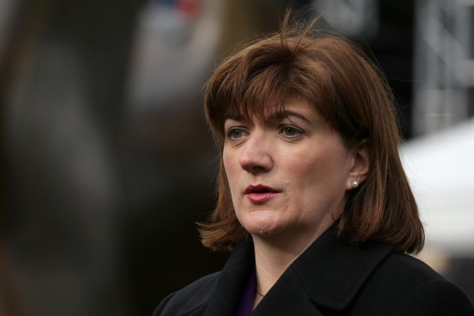 MP Nicky Morgan voted Remain but says politicians from both sides should unite over Mr Johnson's proposals (AFP/Getty Images)