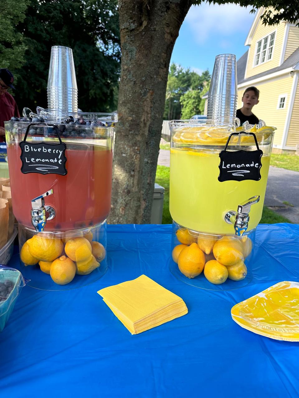 Drink options of blueberry lemonade straight from Russell's blueberry bush growing in their yard, and regular lemonade. The family hosted the Rockland Trust Bank and Tommy's Place second annual lemonade stand to raise money for families affected by childhood cancer.