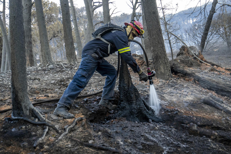 Firemen work on the UCT campus in Cape Town, South Africa, Monday, April 19, 2021. Residents are being evacuated from Cape Town neighborhoods after a huge fire spreading on the slopes of the city's famed Table Mountain was fanned by strong winds overnight and threatened houses.(AP Photo/Jerome Delay)