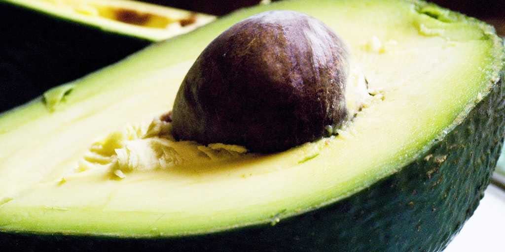 Avocado