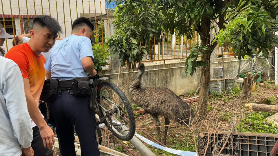 警員亦到場協助。