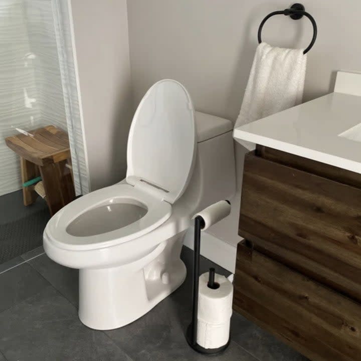 A reviewer's toilet paper holder