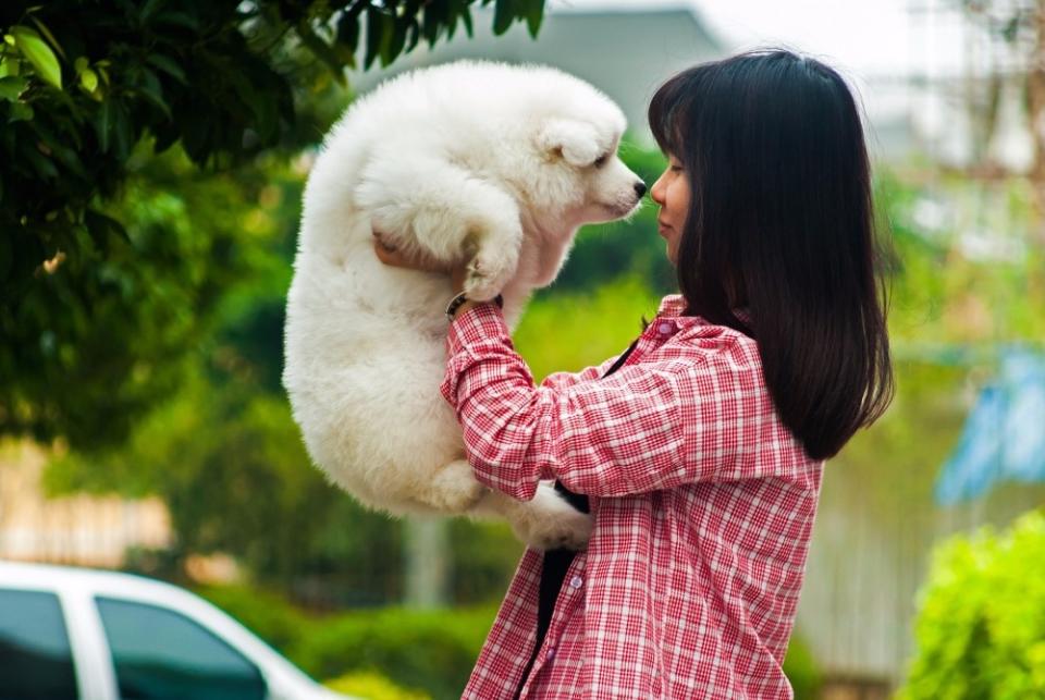 寵物與飼主