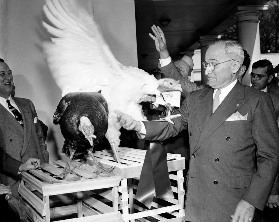 President Truman inspects two turkeys at the White House porch in December 1948, just after winning that year's presidential election.