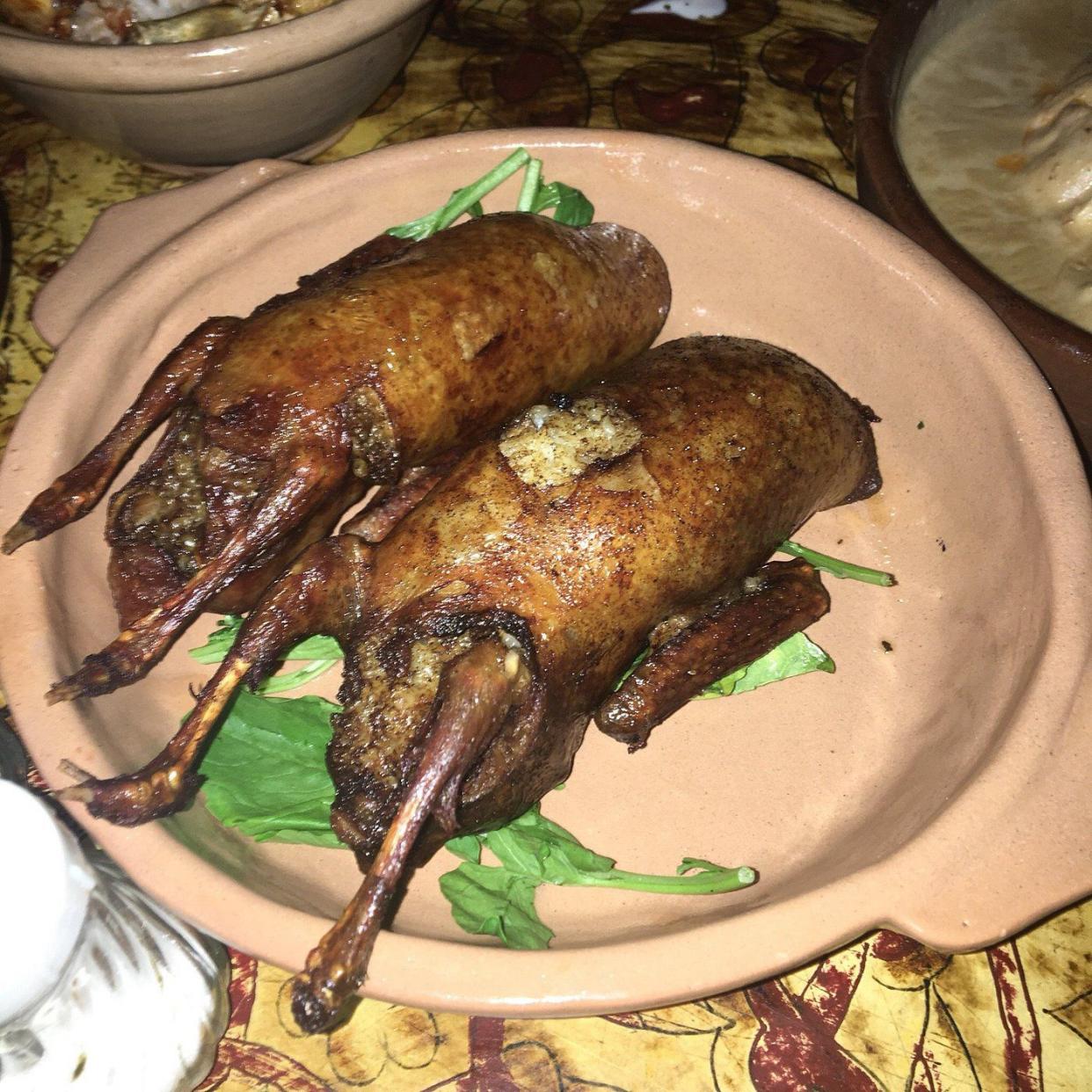 Pigeon from Abou el-Sid