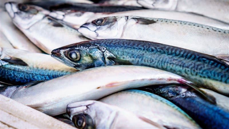 吃魚時，有些部位特別要避開，不然會傷身，甚至致命。（圖／翻攝自pixabay）