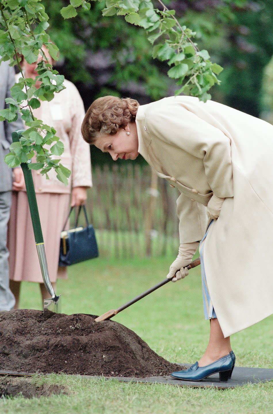 <p>The Queen observes a newly planted tree in the grounds of Royal Hospital Chelsea at the show in 1988.</p>