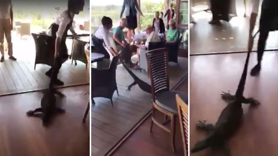The 25-year-old French waitress didn't hesitate in dragging the reptile from the restaurant. Source: Facebook