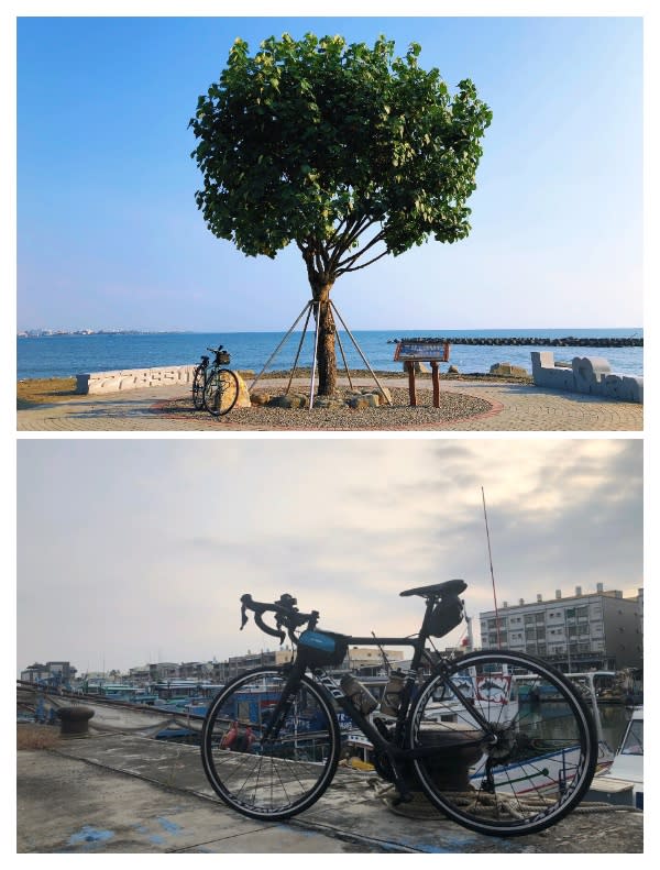 回饋十面埋伏鐵粉0元遊林園　騎單車吹海風看倒立水母抽iPhone13