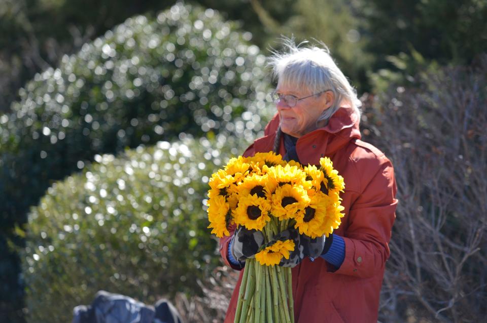 Jeff Camish, of Marstons Mills, holds a bouquet of sunflowers that were distributed to walkers last month. Pilgrim's Landing, a not-for-profit interspiritual life center in Chatham, hosted Blossoms of Light: GLOBALGIVING Guided Musical Labyrinth Walk in Chase Park in March. The event was a musical guided labyrinth walk to benefit the people in Ukraine.