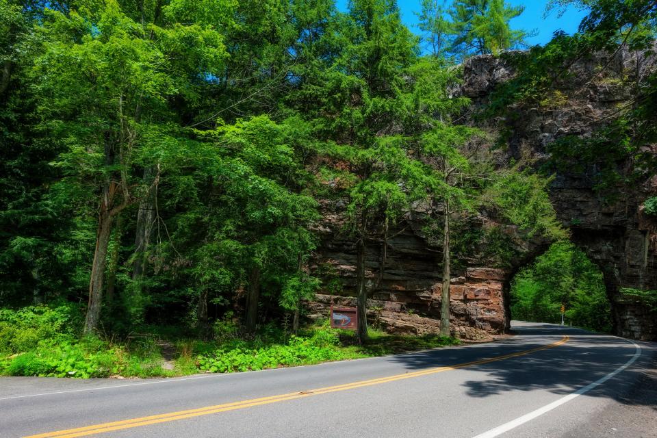 Located in southwestern Virginia, Bristol puts families near outdoor destinations like Cherokee National Forest  (pictured here) and the Appalachian Trail.