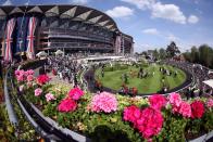 <p>The racehorses were paraded around a ring before the King's Stand Stakes began. </p>