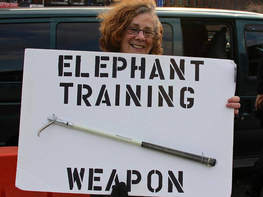 The use of bullhooks can cause physical and psychological harm in elephants (Fort Greene Focus)