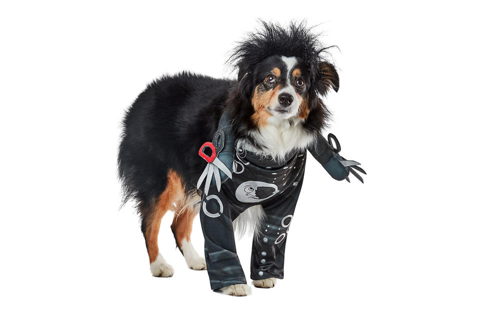 <p>10/10 would let this Edwards Scissorhands landscape the yard. </p> <p><strong>Buy it!</strong> Edward Scissorhands Pet Costume, $19.99; <a href="https://www.petsmart.com/featured-shops/halloween/rubies-halloween-edward-scissorhands-pet-costume-65348.html?cgid=6000012" rel="nofollow noopener" target="_blank" data-ylk="slk:PetSmart.com;elm:context_link;itc:0;sec:content-canvas" class="link ">PetSmart.com</a></p>