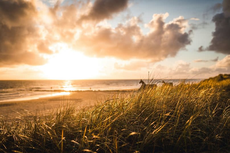 Repérez les bunkers à chevaux sur la plage de Blavand, dans l'ouest du Danemark