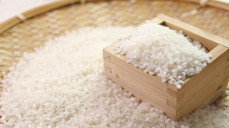 Koshihikari rice