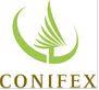 Conifex Timber Inc