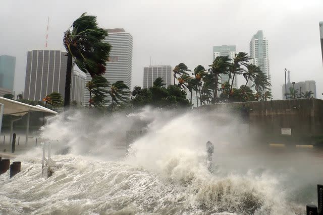 <p>Warren Faidley/Getty</p> Hurricane Irma in Miami, Florida