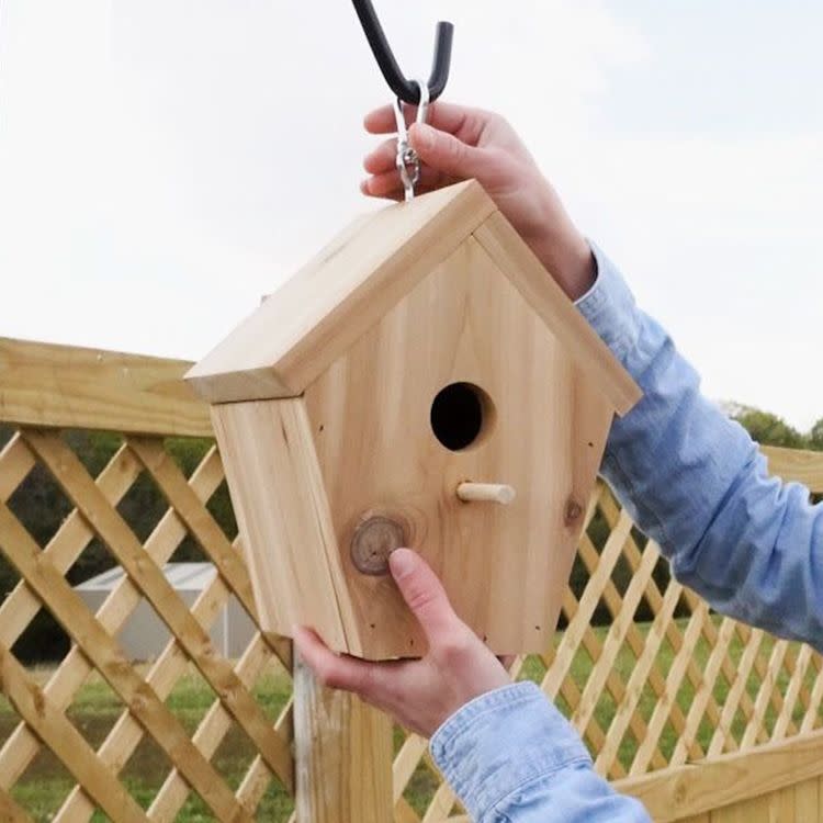 Build a Wooden Birdhouse