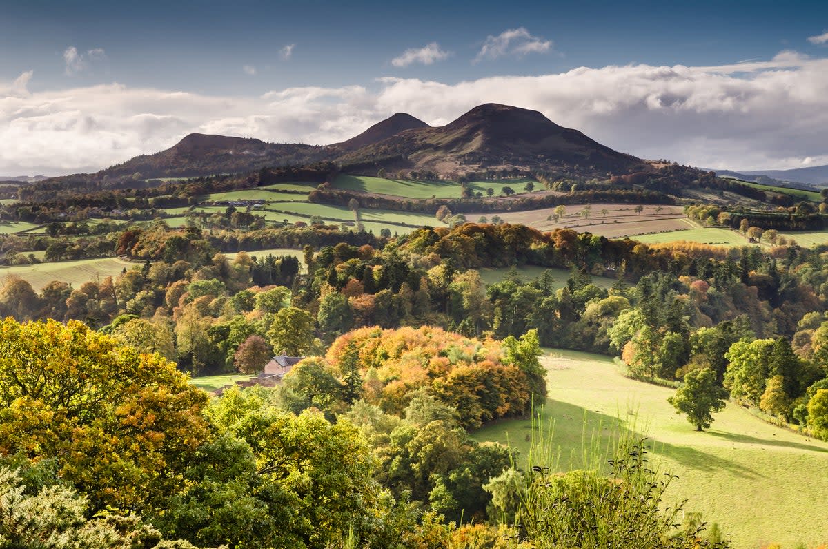 The Eildon Hills in the Scottish Borders (Getty/iStock)