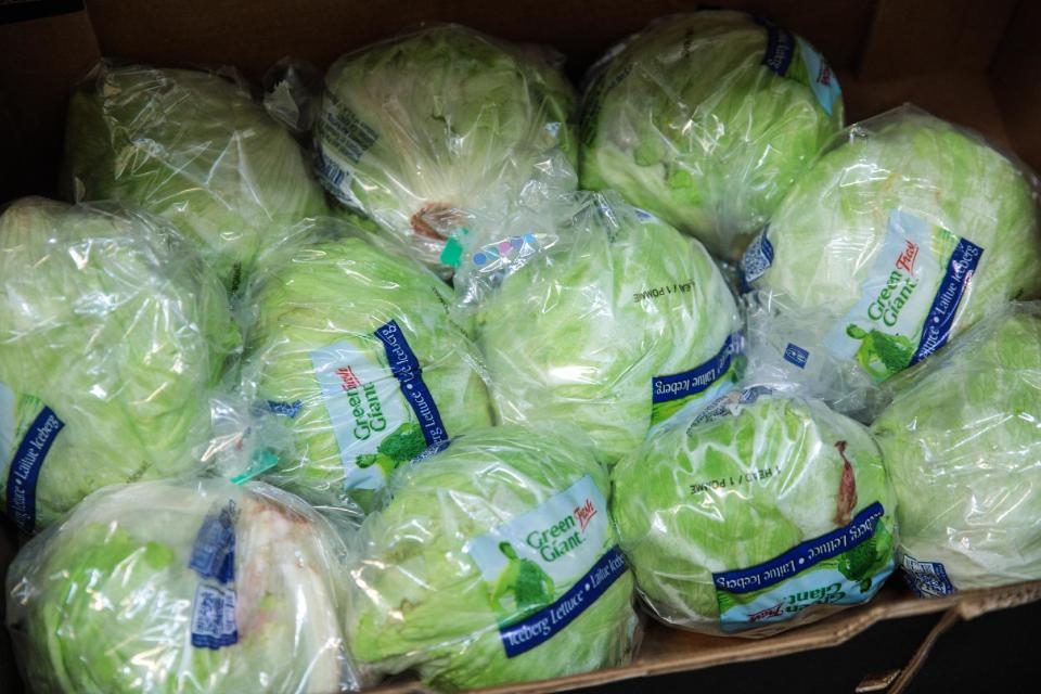 Iceberg lettuce could be hard to get hold of this summers thanks to a frost hitting key growing regions in Spain (Jack Taylor/Getty Images)