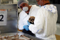 Forensic doctors examine the bones of an unidentified victim which is analyzed in the lab of the Attorney-General's office in Bogota, Colombia, May 5, 2017. REUTERS/Inaldo Perez