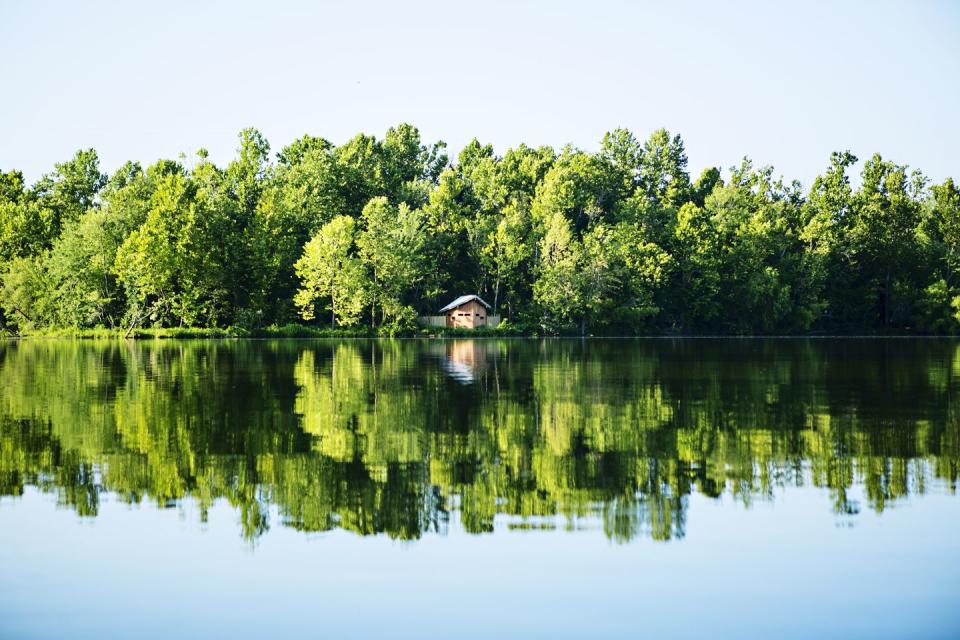 <p>A perfect day in Fayetteville, Arkansas with nature reflecting perfectly against the lake. </p>