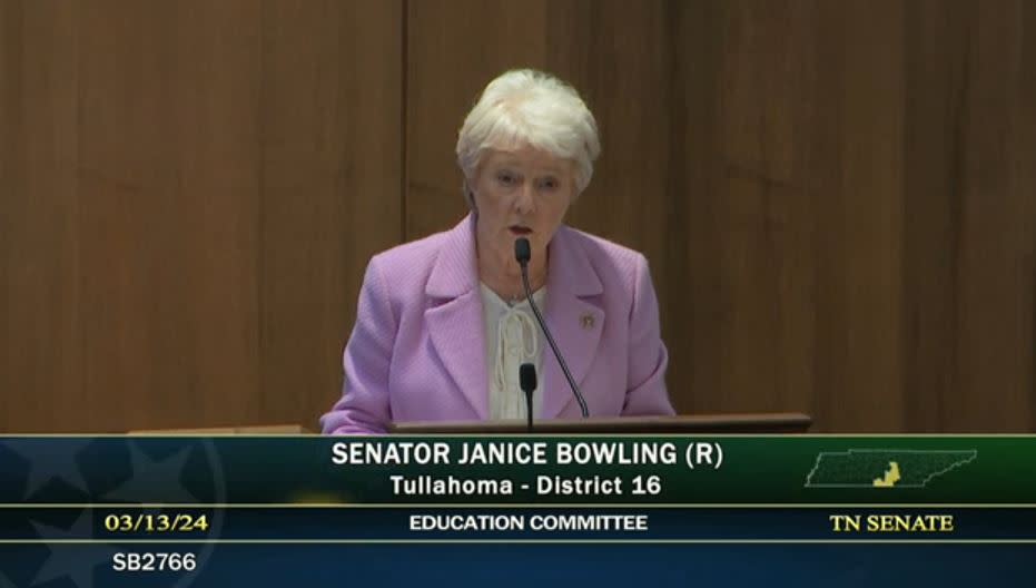 <em>Still from Senate Education Committee on Weds., March 13, 2024 (Source: Tennessee Senate)</em>