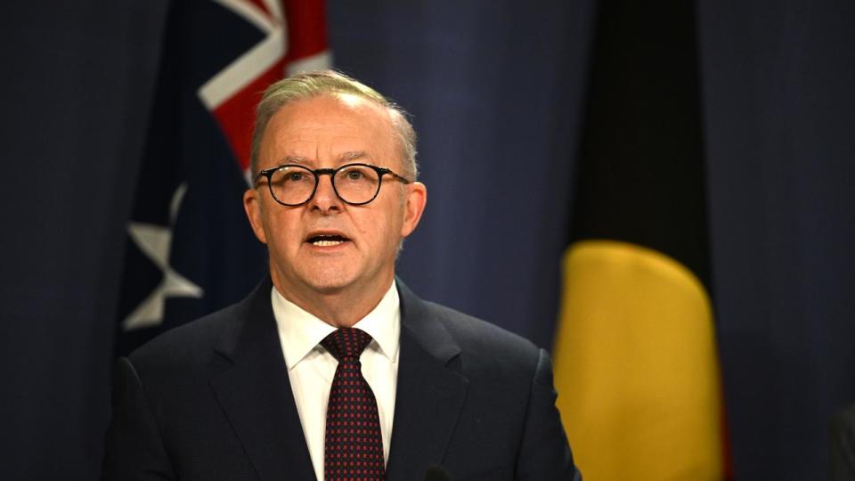 Prime Minister Anthony Albanese (file image)