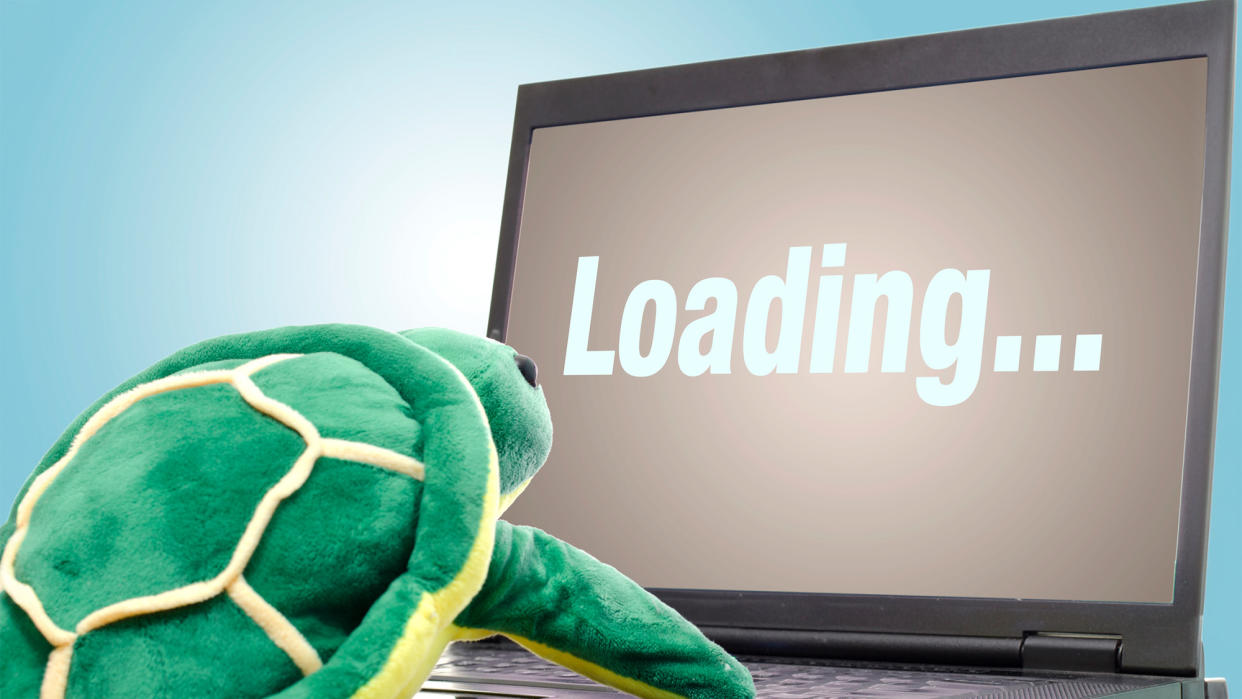  Turtle plush doll in front of a laptop with a loading screen to indicate slow internet. 