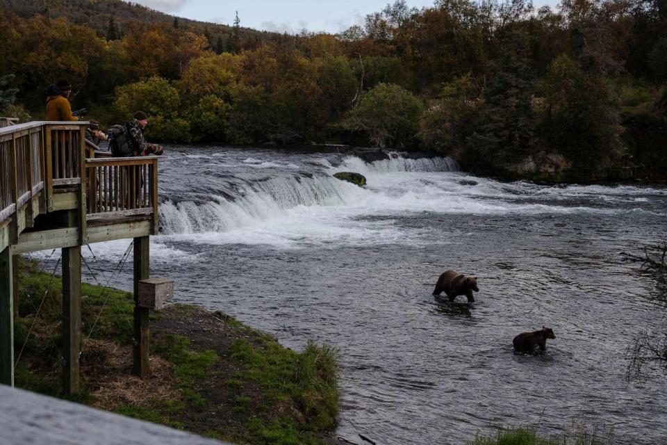 PHOTO: Visitors watch a family unit fishing Brooks Falls in Katmai National Park in Bristol Bay, Alaska, Sept. 23, 2023. (The Washington Post via Getty Images)