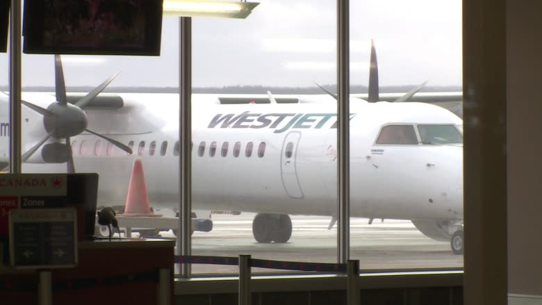 WestJet axes twice-daily run from Deer Lake to Halifax