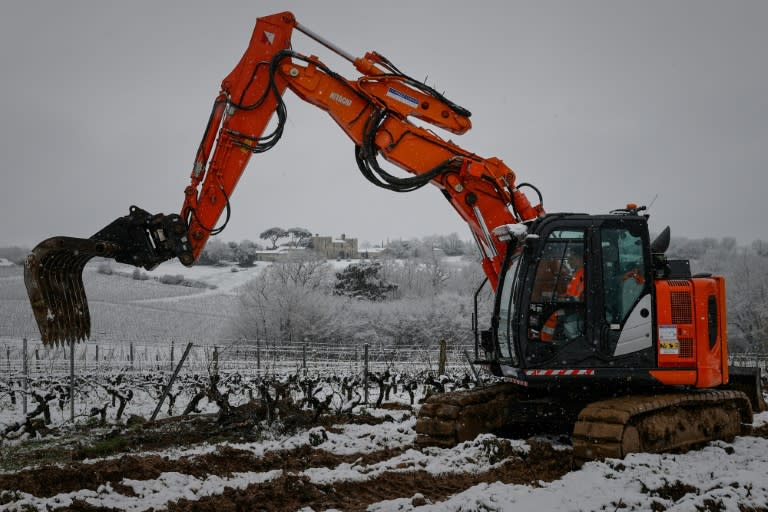 Une excavatrice arrache des vignes à Haux, à environ 25 km au sud-est de Bordeaux, le 18 janvier 2023 (ROMAIN PERROCHEAU)