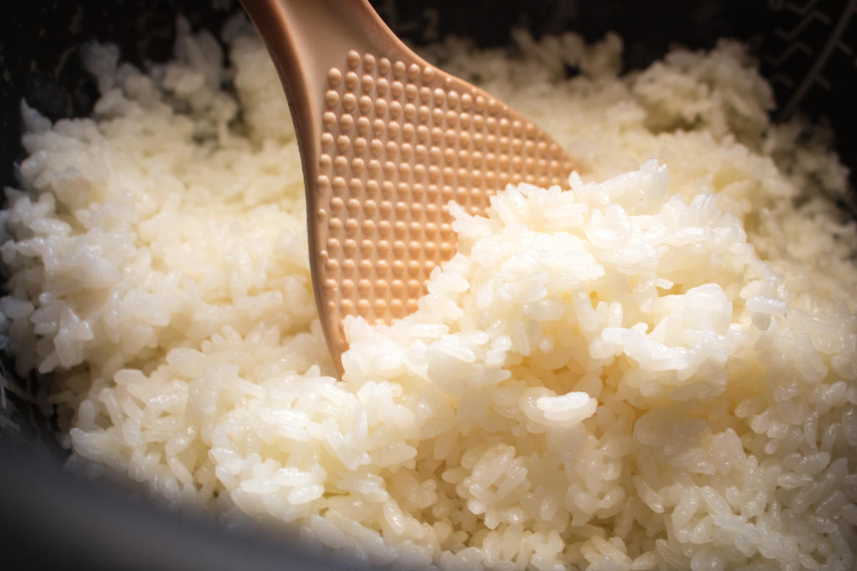 Syndrome du riz cantonais : quand une bactérie dans le riz se transforme en  intoxication mortelle