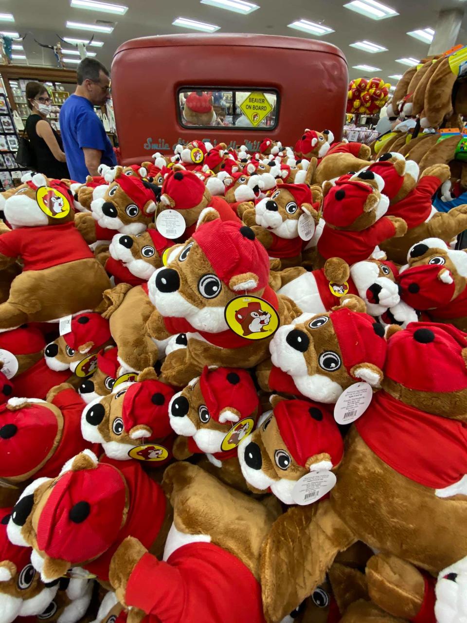 A pickup truck crammed with Buc-ee's beavers is parked in the St. Augustine Buc-ee's.