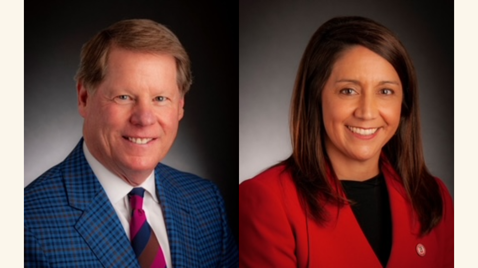 Regents Mark Griffin and Ginger Kerrick Davis have been elected as the new chairman and vice chairwoman of the Texas Tech System Board of Regents.