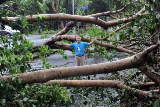 A man stands amongst a fallen tree, during typhoon Tembin in Taitung, eastern Taiwan, on August 24, 2012. Across the island, more than 50,000 households were without power, according to the state Taiwan Power Company