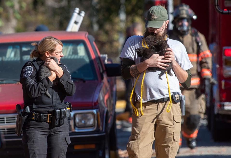 Evansville Police Department’s Sgt. Anna Gray, left, and Animal Care & Control’s Brandon Russell remove four cats from the scene of a basement fire at a home in the 1100 block of Bayard Park Drive Wednesday, Nov. 1, 2023.