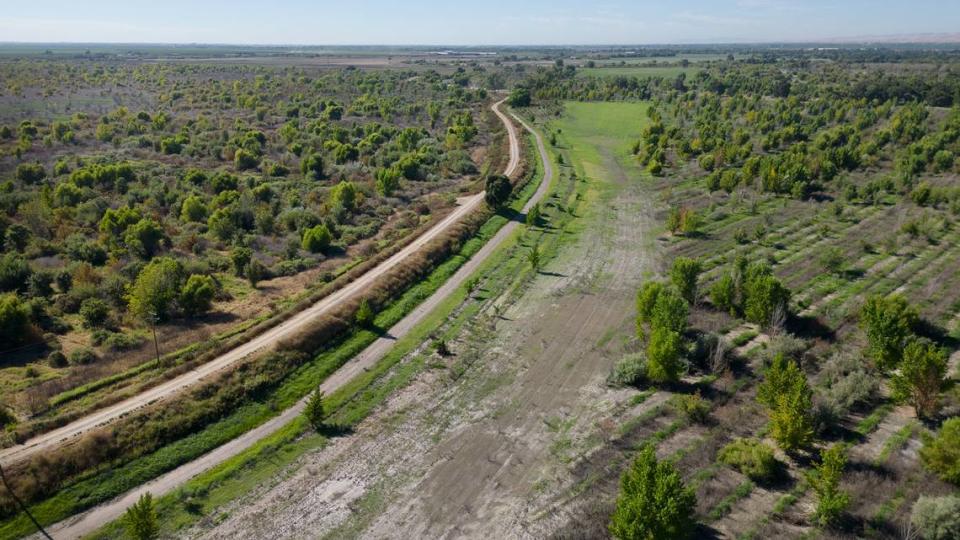 A old farming levee divides two parcels at Dos Rios Ranch near Modesto, Calif., Tuesday, March 25, 2023. Habitat restoration on the left was started in 2014, the parcel on the right was planted in 2018, the swale in the middle sits adjacent to the San Joaquin River and offers habitat for juvenile salmon during flooding.