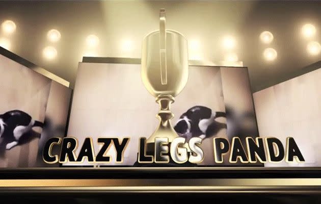 Crazy Panda Legs wins of 'Best Cat-hlete.'