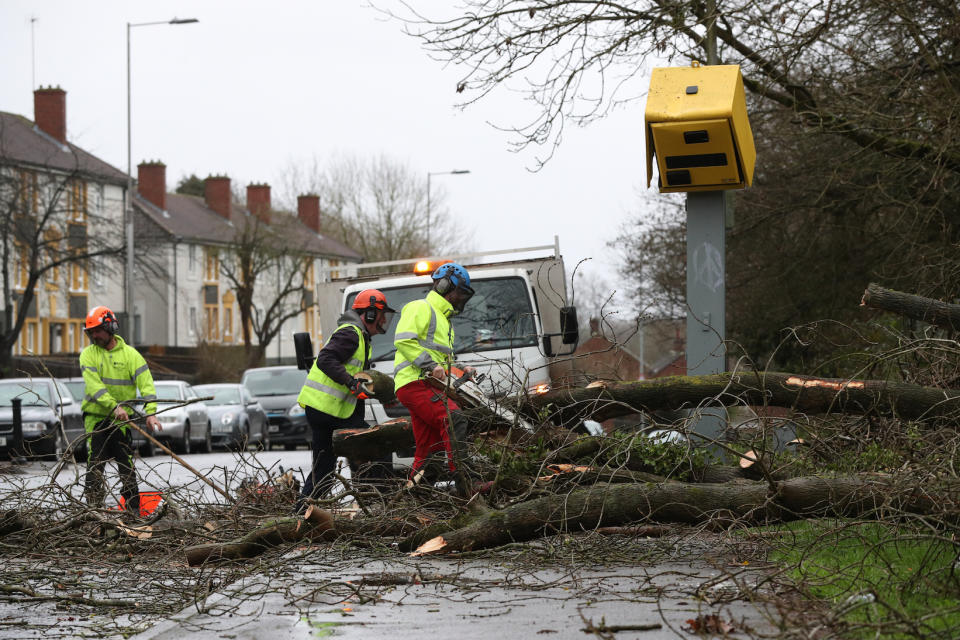 Workmen clear up after tree fell on speed camera and damaged it on The Meadway in Tilehurst. (PA)