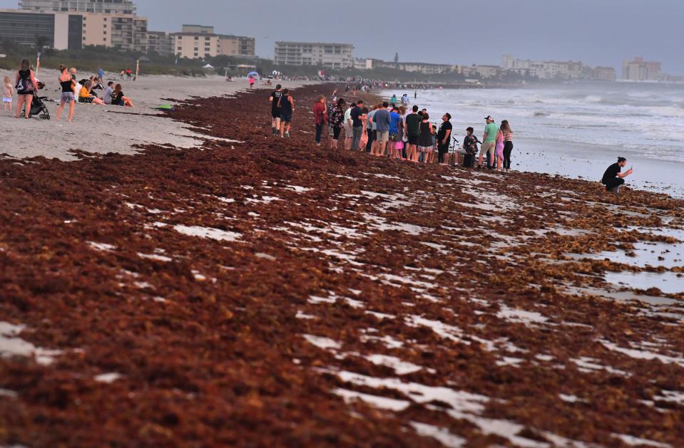 People are seeing heavy and smelly Sargassum seaweed on some of Florida's beaches.