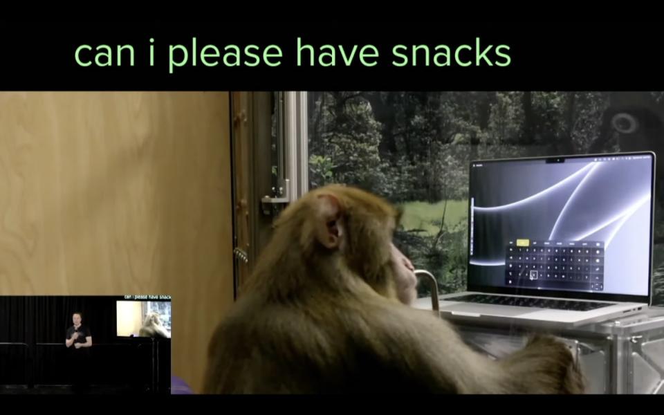 <div class="inline-image__caption"><p>A monkey types out a plea for more snacks using just its brain signals via Neuralink. </p></div> <div class="inline-image__credit">Neuralink livestream</div>