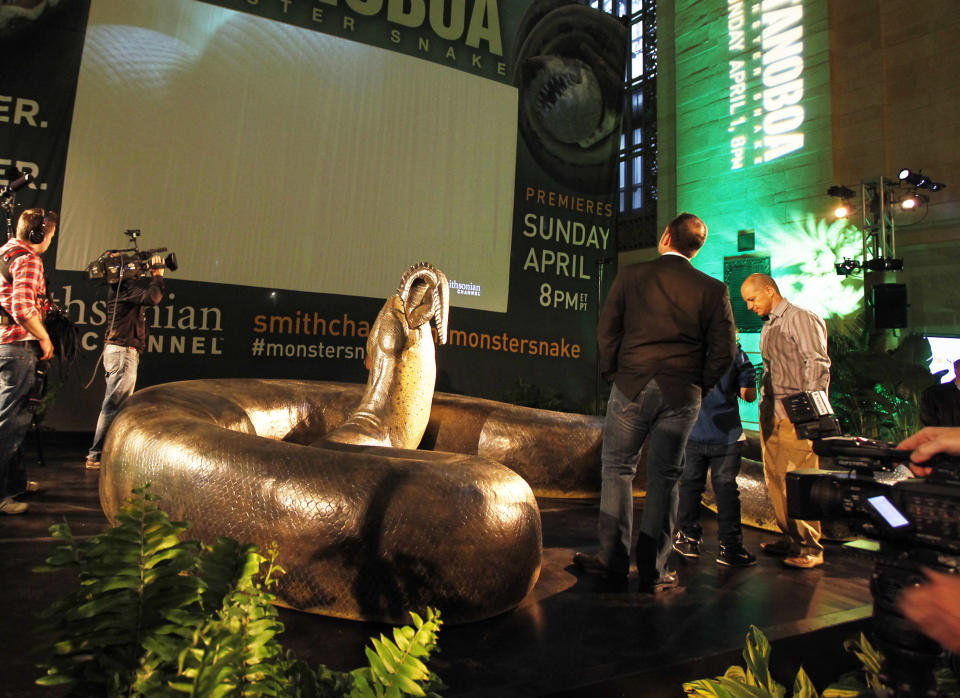 Titanoboa scale model revealed at Grand Central Terminal on Thursday, March 22. (Photo Credit: Mark Von Holden/ Smithsonian Channel)